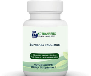 Burdanea Robustus 60 Caps