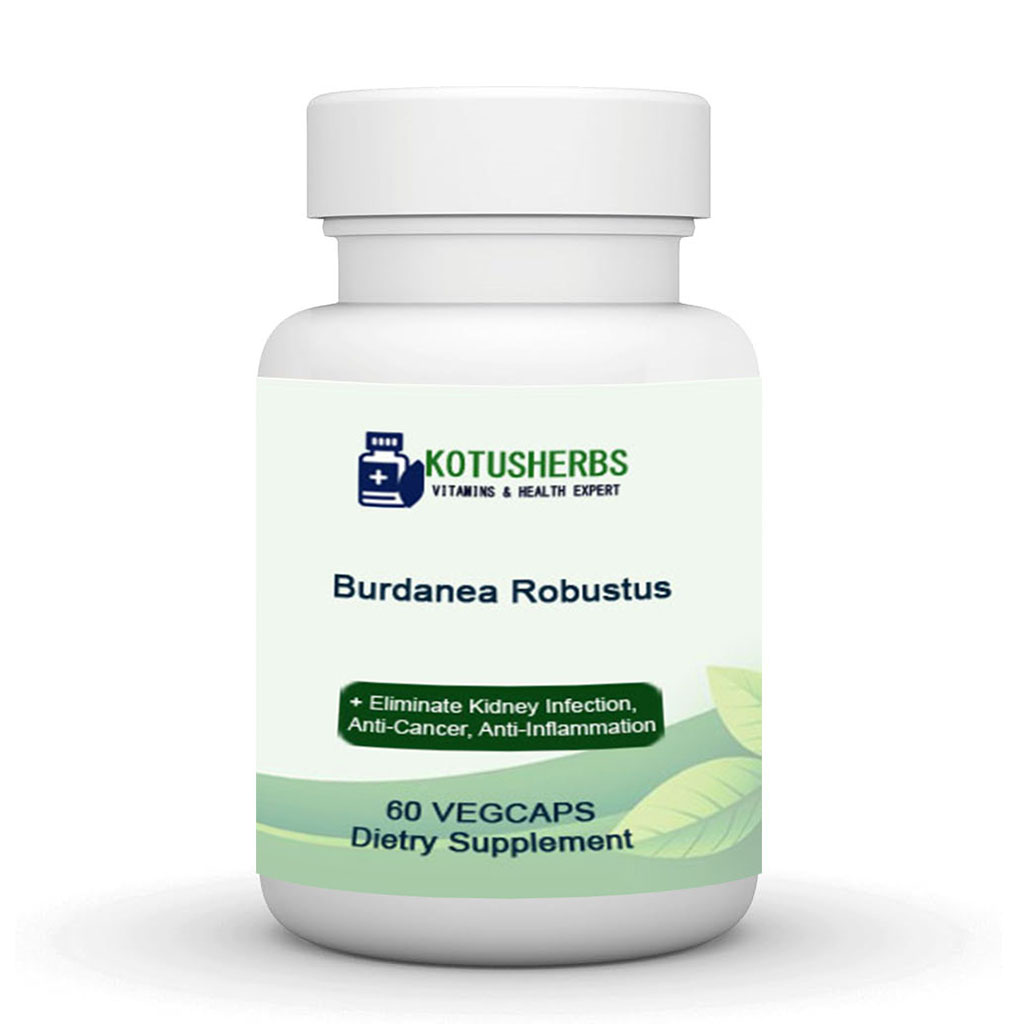 Burdanea Robustus 60 Caps