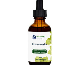 Gymnemasylva 50 ml