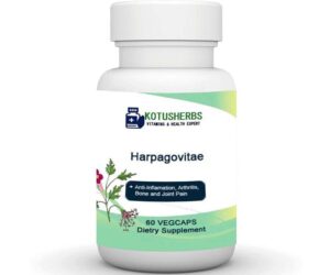 Harpagovita 60 Vegcaps